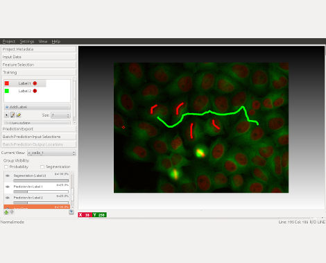 Z4_crop_training1